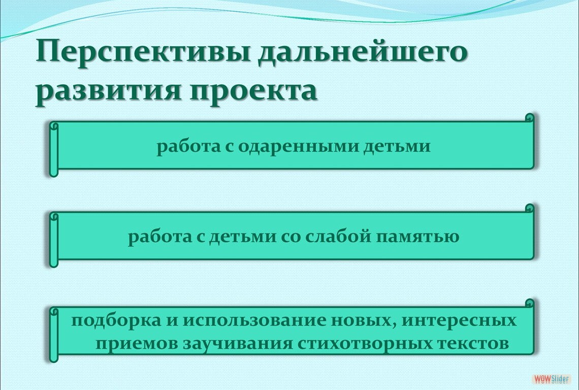 Перспективы дальнейшего развития проекта